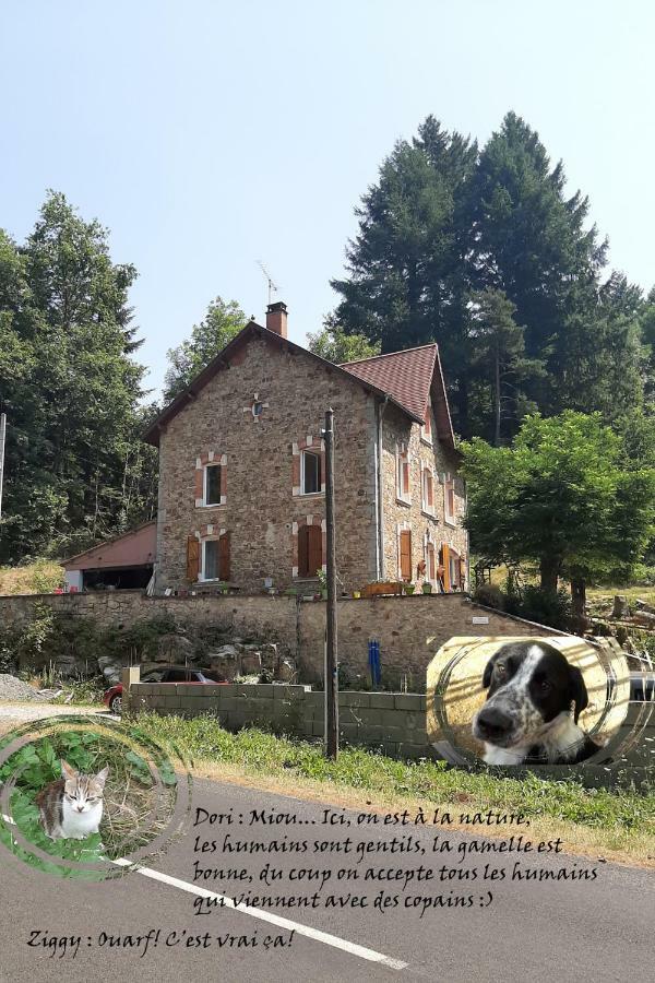 Ferienwohnung E Lu Chantauziau La Monnerie-le Montel Exterior foto